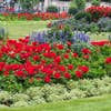 Flower bed